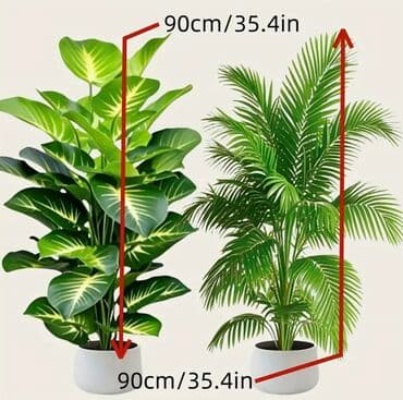 dekarativ guller: 🌸 İstədiyiniz dibçəyi, istədiyiniz ölçüdə yığırıq! 🏡 Evlər, ofislər — 2