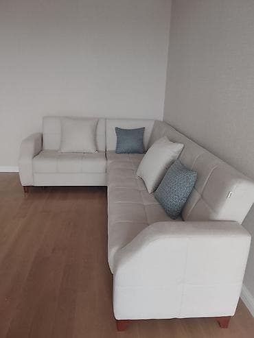 dekorativ bitkiler: Künc divan, Yeni, Açılan, Parça, Çatdırılma yoxdur — 2