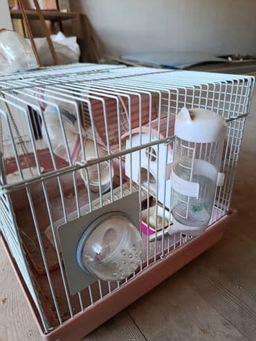 купить клетку для морской свинки: Xəzərtikanlı/siçan kimi kiçik kemiricilər üçün tam dəst qəfəs — 4