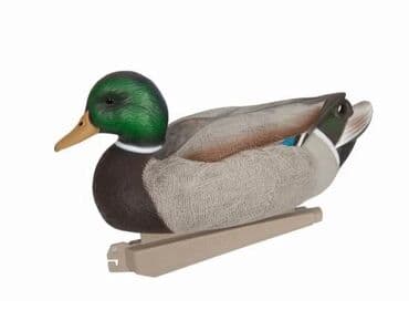 bakıda ovcu mağazaları: Ordek maketi — 1