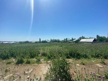 xudatda torpaq: Ağsu Rayon. Pirhəsənlı kəndi məscdin arxasi uşaq bağçası yaninda — 2