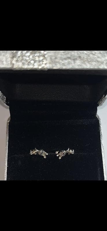 sirqalar: Sırğa, Gümüş, Ünvandan götürmə — 2