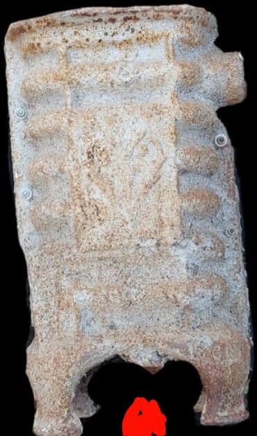 Ceyran pec cugun.yaxsi veziyetdedi.ehmedlidedi