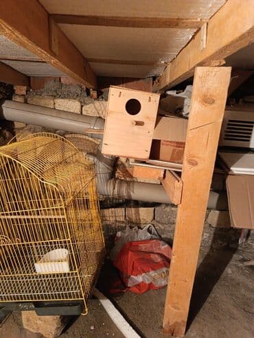 клетки для кур несушек купить в бишкеке: Клетки — 4