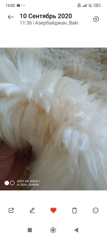 Parçalar: Мерино германия — 7