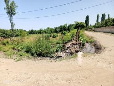 qurd qapisi kiraye evler: 13 sot, Biznes üçün, Mülkiyyətçi, Kupça (Çıxarış) — 2
