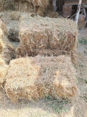 inək südsağan aparat: Məhsul: Bağlamalı quru ot (yonca qarışığı) Təsvir: - Düzbucaqlı pres — 3