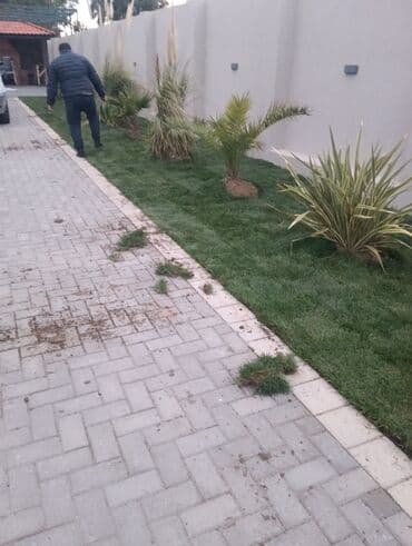 göbələk toxumu satişi: Qazon çatrlma qurasdrma
#qazon
qazonsatişi
#qachon
#qazon — 6