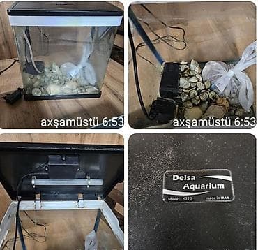 Akvariumlar: Akvarium aksesuarlari her seyi ile birlikde 50 azn satilir‼️tek — 1