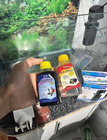 купить аквариум в баку: Salam Akvarium yenidir Şəkildə gördüyünüz aparatları üzərində hədiyə — 7