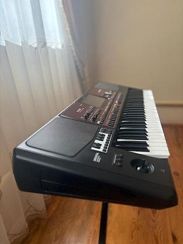 gitara simi: Sintezator, Korg, Yeni — 3