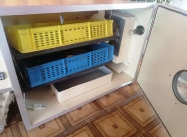 inkubator avadanlıqları: Salam, inkubator 270 əd toyuq yumurtası tutur 1 defe işlətmişəm — 1