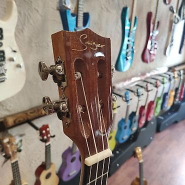 Ukulele, Yeni, Pulsuz çatdırılma