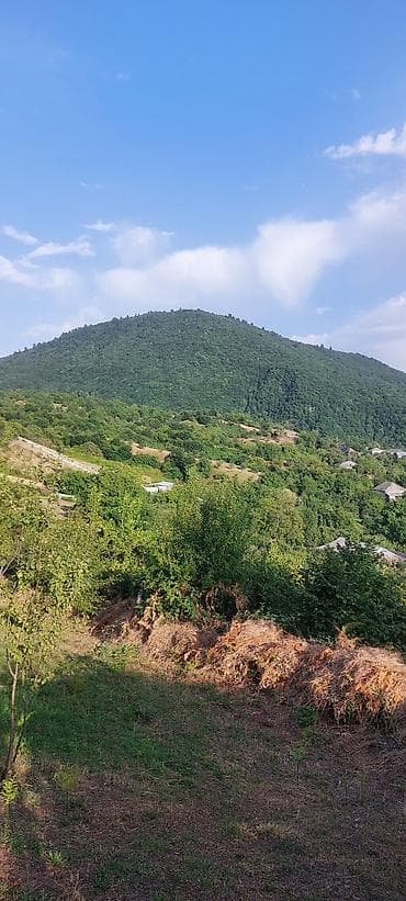 quba 5 sotlar: 20 sot, Tikinti, Makler, Bələdiyyə — 7