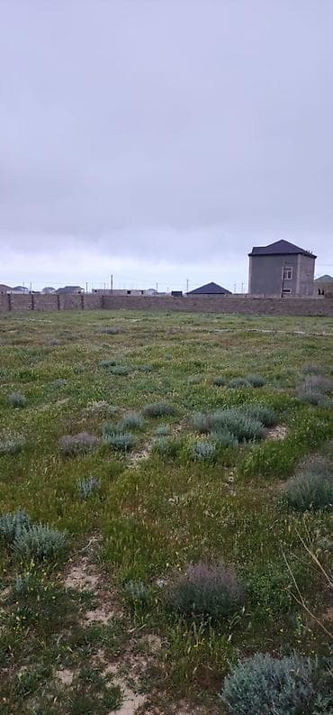 şu: 3 sot, Tikinti, Mülkiyyətçi, Kupça (Çıxarış) — 3