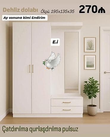 2qapili dolab: Yeni, 2 qapılı, Güzgülü, Ağ, Açılan, Düz dolab — 1