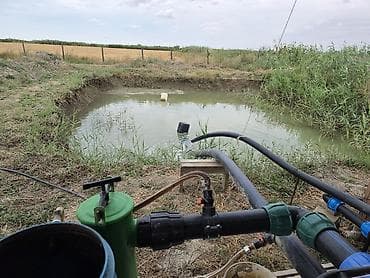 bağ qaycı: ●Xaçmaz Rayonu Ağçay kəndi ●Sənədi Çıxarış- 3,15ha ●Yassı Şaftalı — 3