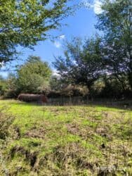 sumqayıtda kirayə evlər 2024: Lerikin Noda kendinde. Heyet evi satilir. asfalta 2 degigelik yol — 6