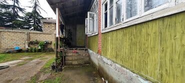 şam ağac: Elektrik Samovar, 10-dan çox l — 11