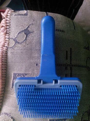 azərbaycan pişik adları: Piwik daraqi satilir — 1