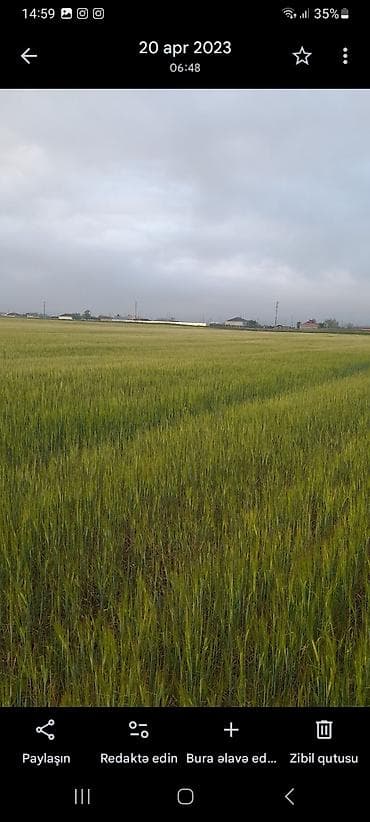 Qarajlar: Kənd təsərrüfatı — 4