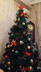 İrada…. Yolka satilir 2.10 ölçü Oyuncaqlar daxil Qiymet 80 man