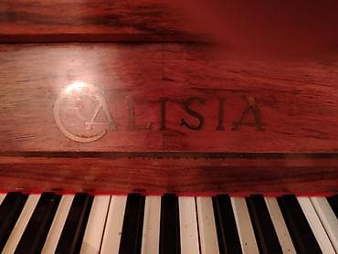 gitara akustik: Pianino ALİSİA. İşlək vəziyyətdə — 3