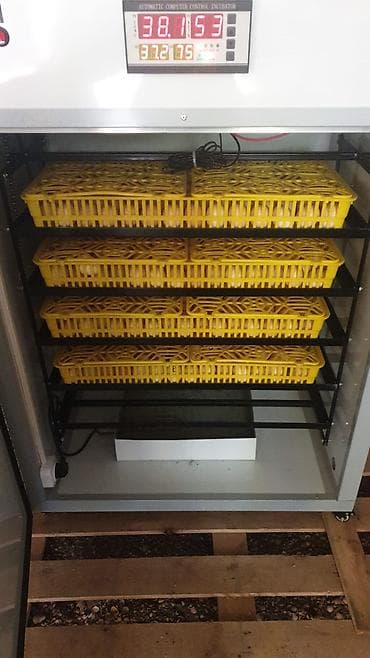 yer pompasi: Yumurta İnkubatoru – avtomatik idarəetməli, çoxməqsədli Məhsul — 5