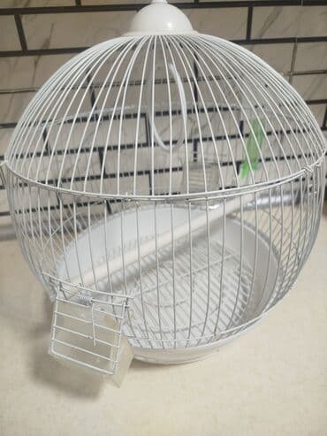 купить клетку для морской свинки: Quşlar üçün ağ rəngdə sferik formada qəfəs. İçərisində bir ədəd oturaq — 3