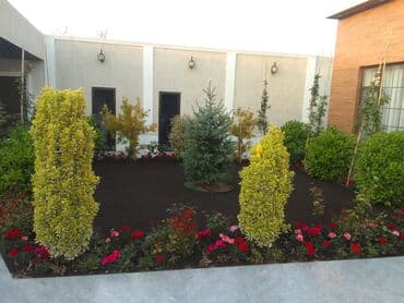 ищу работу садовник на дачу: Salam bağ evlərində, Abyektlərdə parklarda bağban xidməti görülür — 28