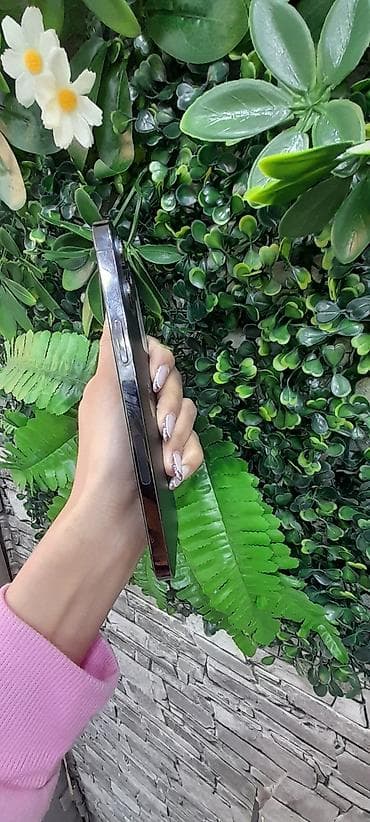 IPhone 12 Pro Max, Черный, Face ID — 2