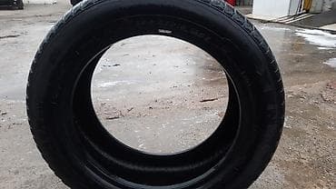minik: Şin Nexen 235 / 55 / R 18 — 1
