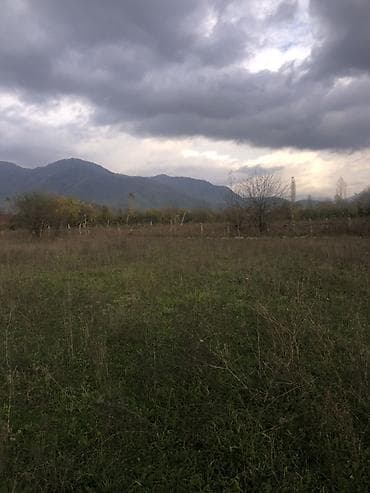 barter kupca: 35000 sot, Kənd təsərrüfatı, Kupça (Çıxarış) — 3