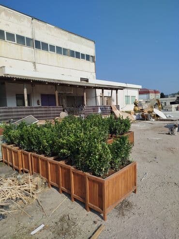 Taxta dipçəklər Bir başa sexdən. Sex qiymətinə. ♦️Endrim 2025 dekabr