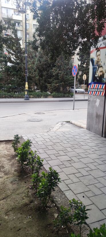 naxçıvanda iş elanları 2023: Qadın saç ustası tələb olunur, Yerin icarəsi, 1 ildən az təcrübə, Forma — 4