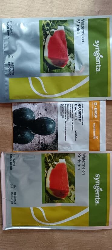 göbələk toxumu satışı: Şitil ücun qablarr qarpiz toxumlari uçun vathcapa yazn rayonlara — 14