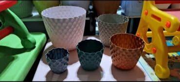 kaybolan yıllar 50: Dibcek Dibcek qabi yumru aq rengli gul.qabi yumru aq rengli dibcek — 23