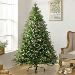 yolka ağacları: Kremovski yolka 701 — 4