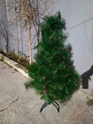 Ev saatları: Yolka 90 sm təzə dir — 1