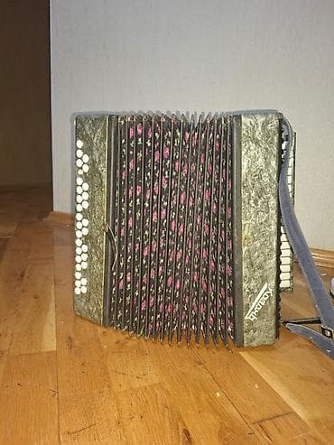akustik gitara qiymetleri: Akustik Akkordeon, İşlənmiş, Pulsuz çatdırılma — 4