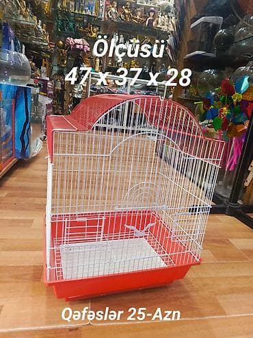 Böyük Quş qəfəsini 25-azn Ünvan Q Qarayev metrosunun düz çıxışında lalafo.az -da Böyük Quş qəfəsini 25-azn Ünvan Q Qarayev metrosunun düz çıxışında
