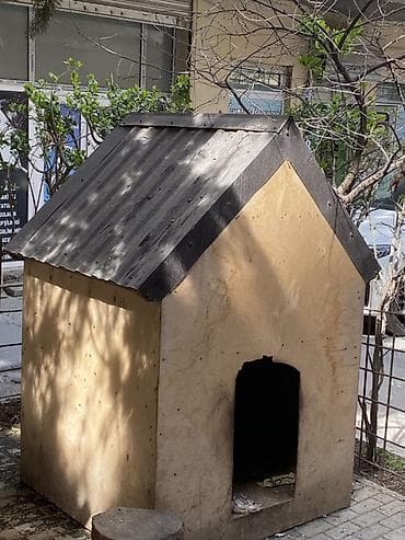 boyuməyən it: Taxta it evi600manata hazirlaymisiq tam izolyasiyalidi boyuk it ucunde — 1