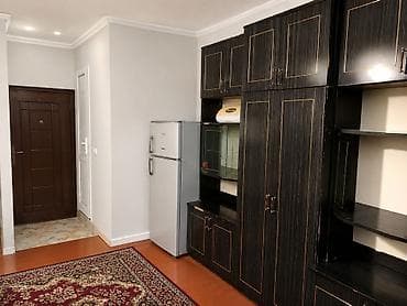 mini evler: 25 kv. m, 1 otaqlı, Artezian quyusu, İnternet, Qaz — 2