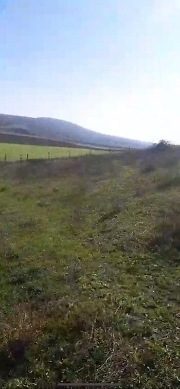 samaxi: 10 sot, Tikinti — 3