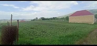 объявления о продаже земельных участков: Для строительства, Купчая — 2