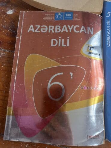 6 ci sinif ingilis dili test kitabi: Qarışıq — 19