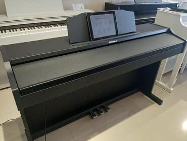 elektro piano: Roland RP 501 Yapon mütəxəsisslərinin ərsəyə gətirmiş əfsanəvi Roland — 2