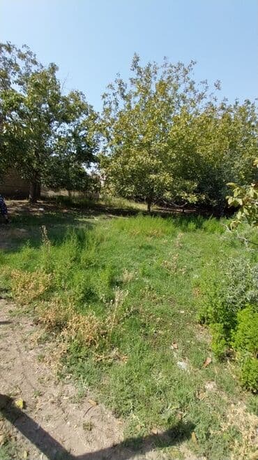 binə atçılıq torpaq satılır: 8 sot, Tikinti, Maklerlər narahat etməsin, Kupça (Çıxarış) — 6