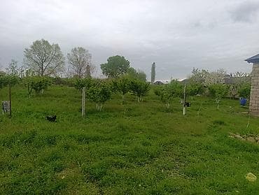 bilecer kiraye evler: Xaçmaz, 65 kv. m, 3 otaqlı, Hovuzlu, İşıq, Su, Kanalizasiya — 4