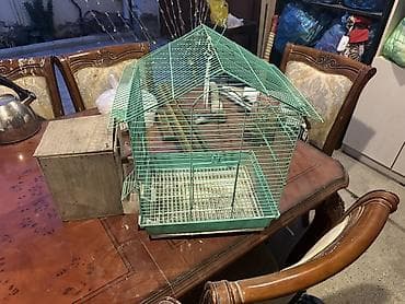 imişli yemi: Quş qəfəsi – yaşıl metal, ev forması dizayn - Material: möhkəm metal — 1